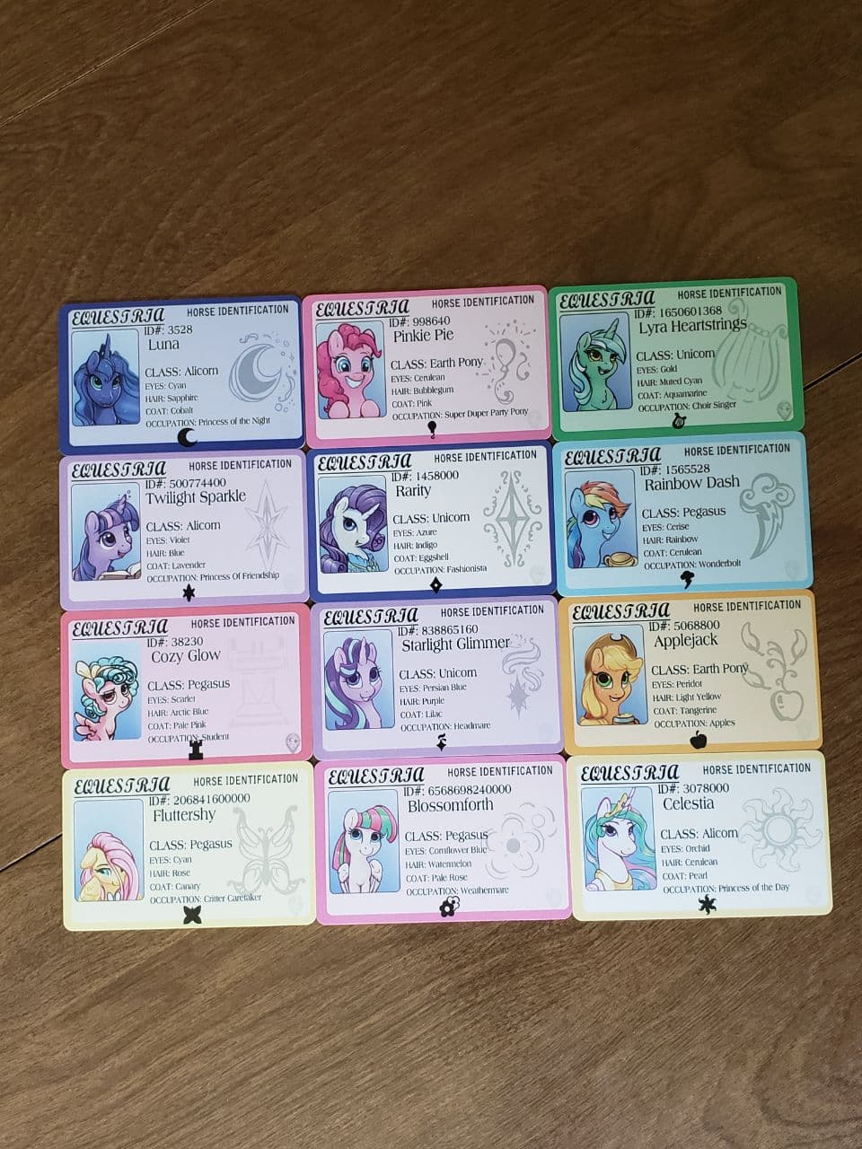 Pony ID - License | Sky Railroad